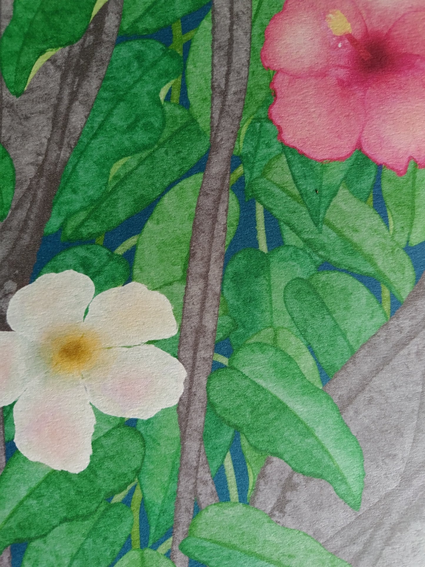 A-115【FICUS MICROCARPA】我樹丸アート