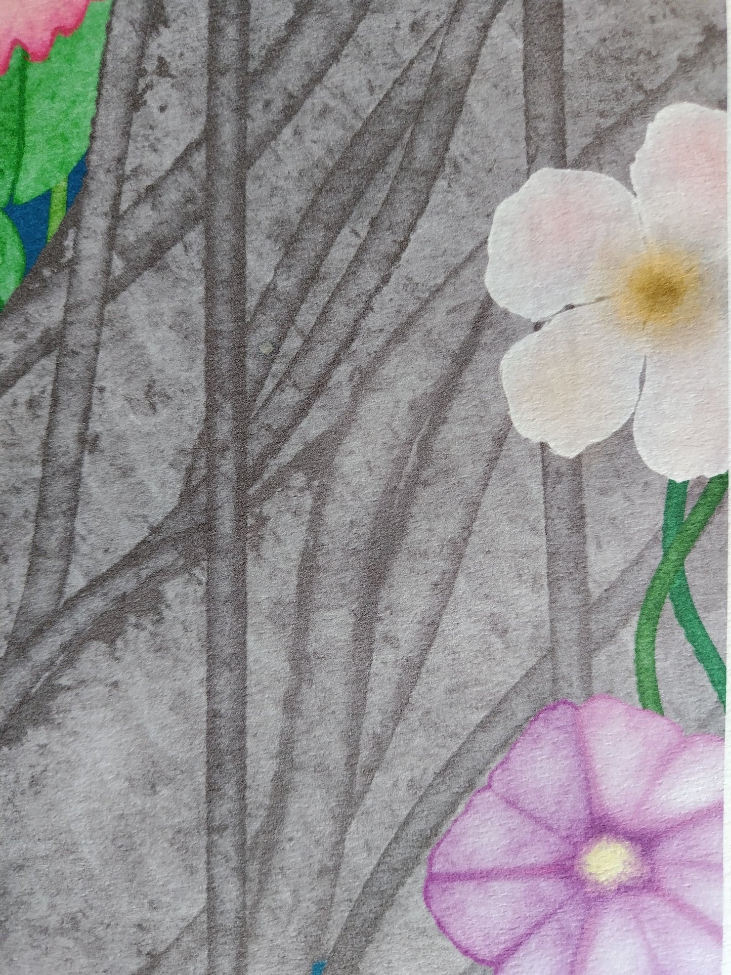 A-115【FICUS MICROCARPA】我樹丸アート