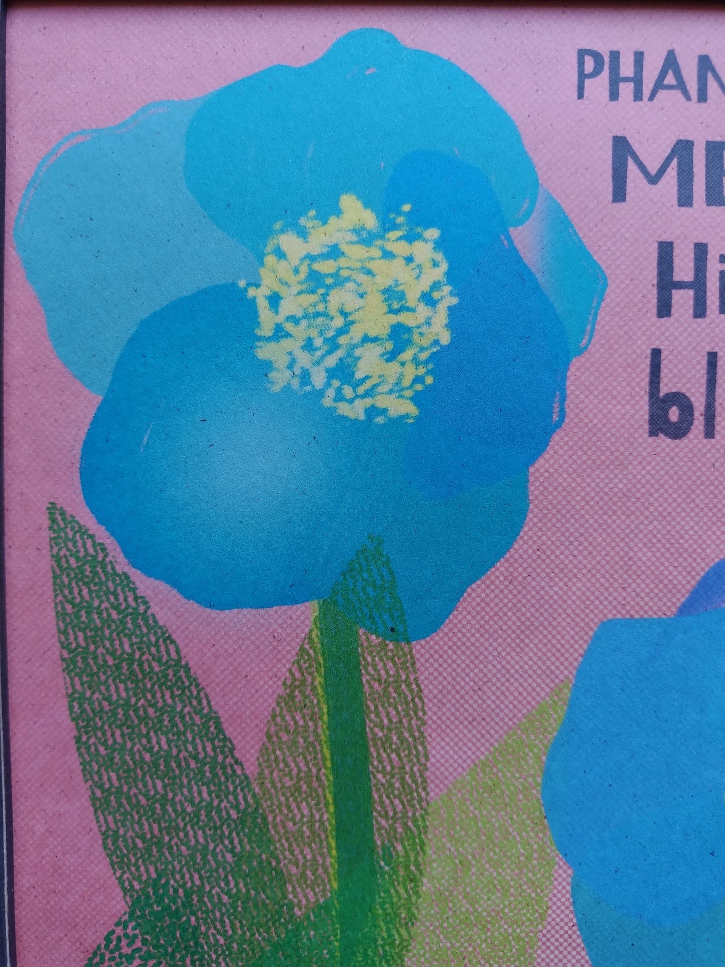 A-038【BLUE POPPY】 アート