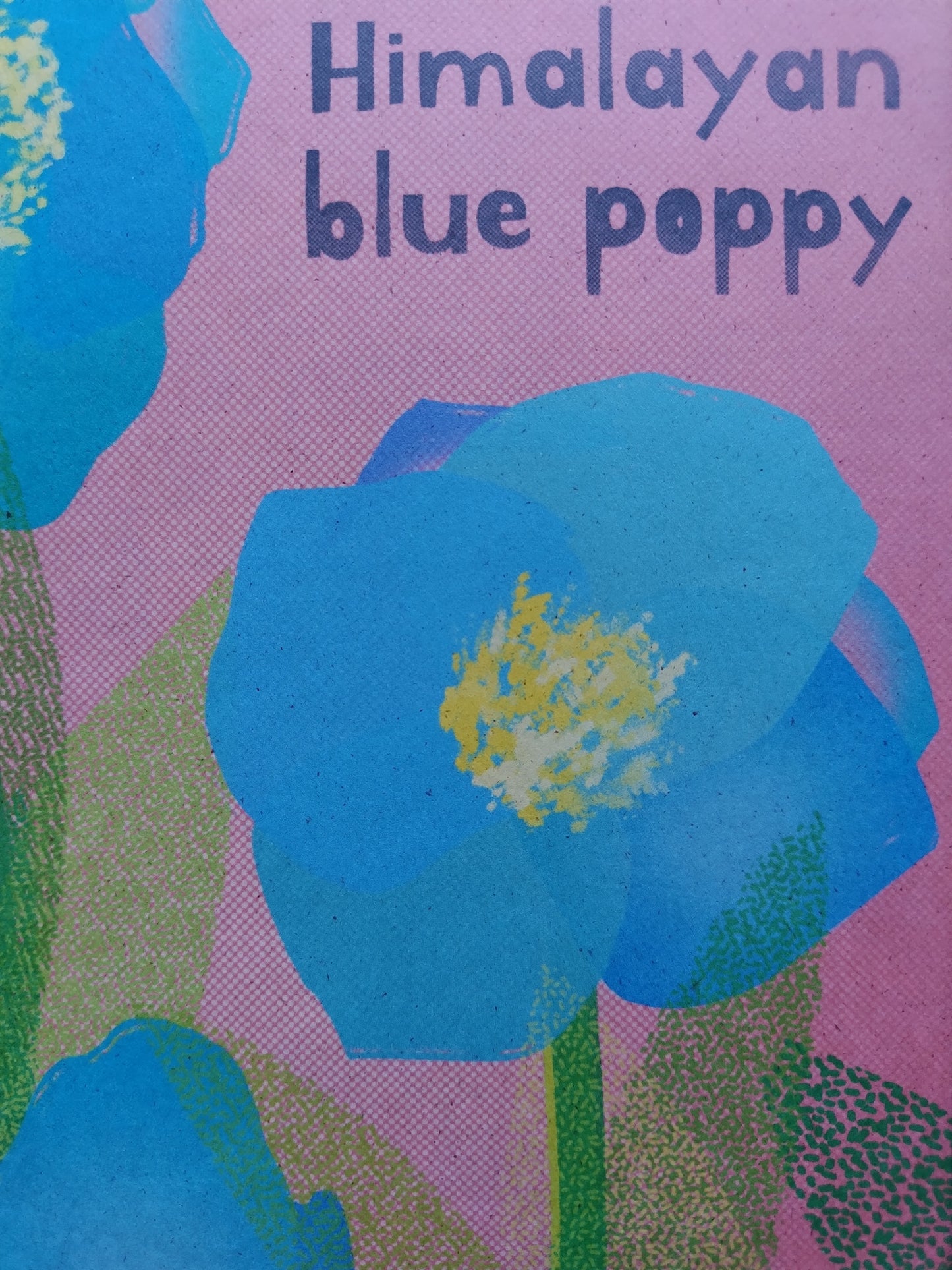 A-038【BLUE POPPY】 アート
