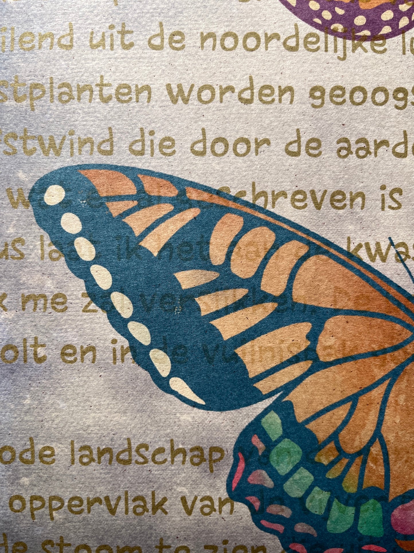 IDLENESS BUTTERFLIES