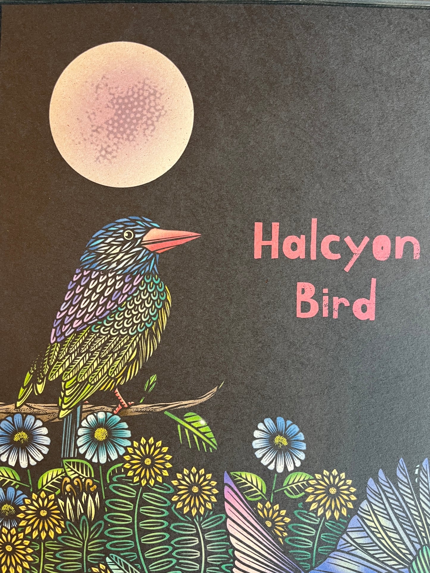 HALCYON BIRD