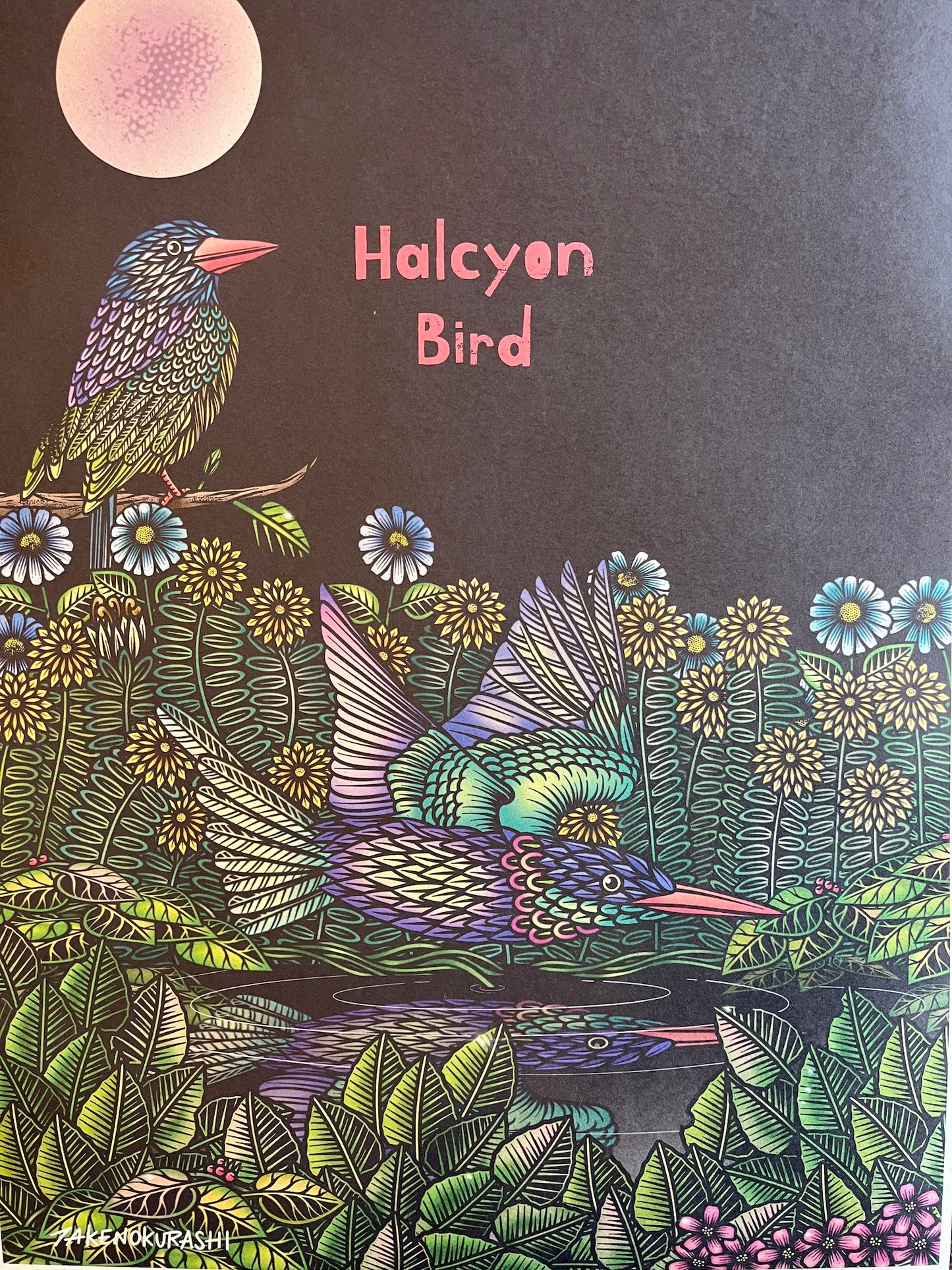 HALCYON BIRD