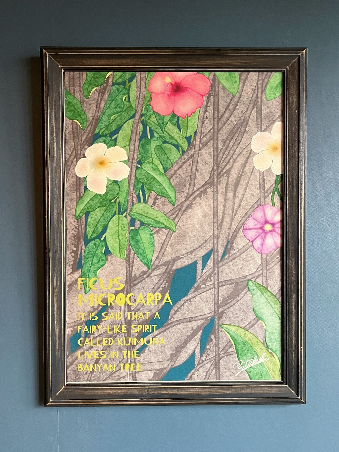 A-115【FICUS MICROCARPA】我樹丸アート