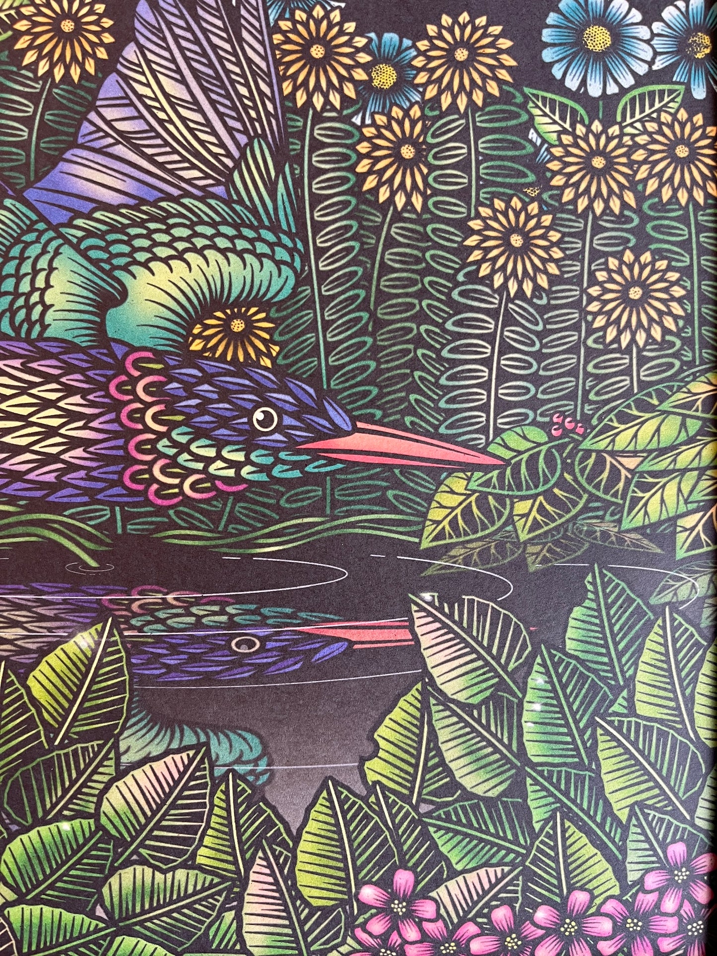 HALCYON BIRD