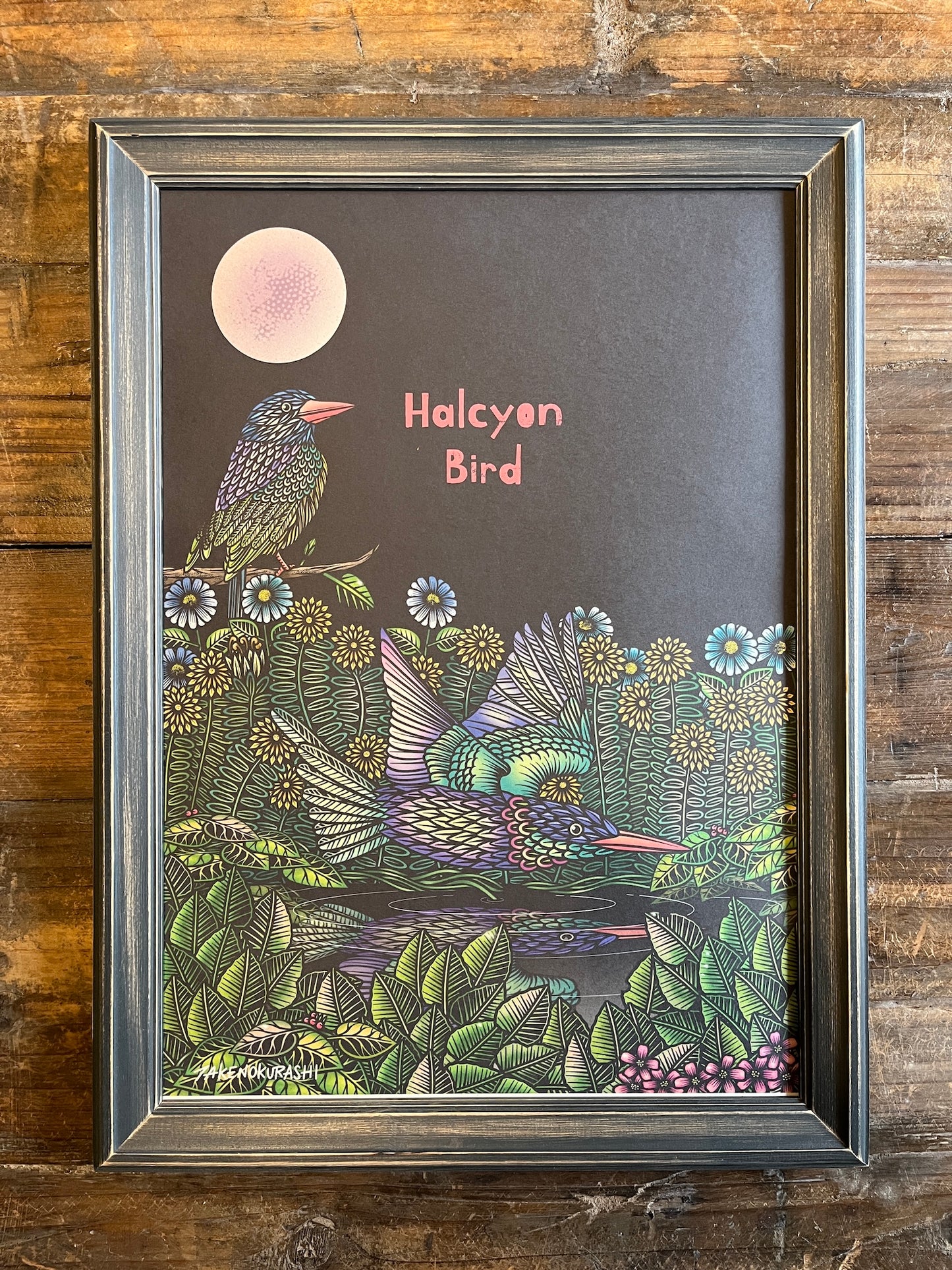 HALCYON BIRD