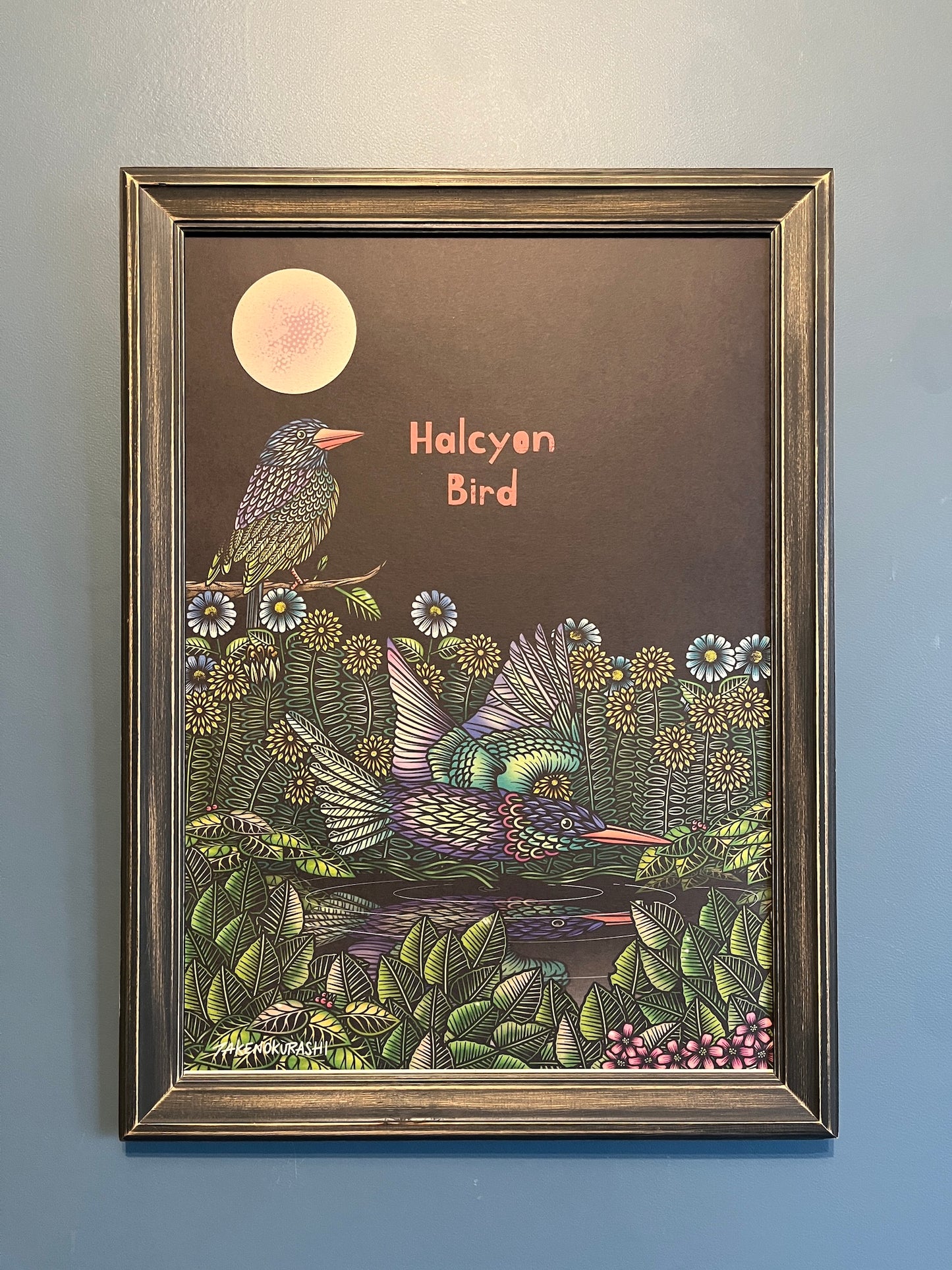 HALCYON BIRD