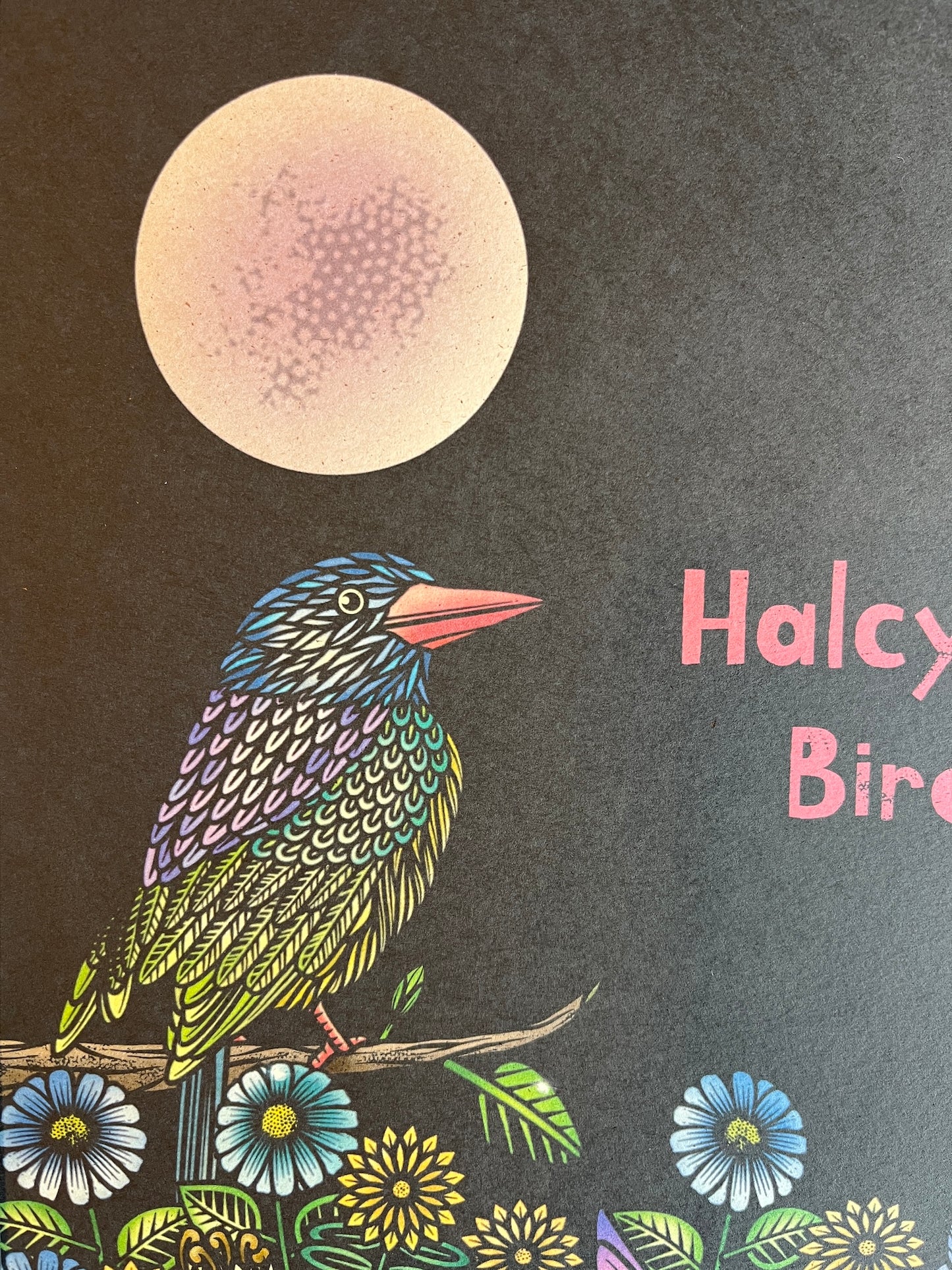 HALCYON BIRD