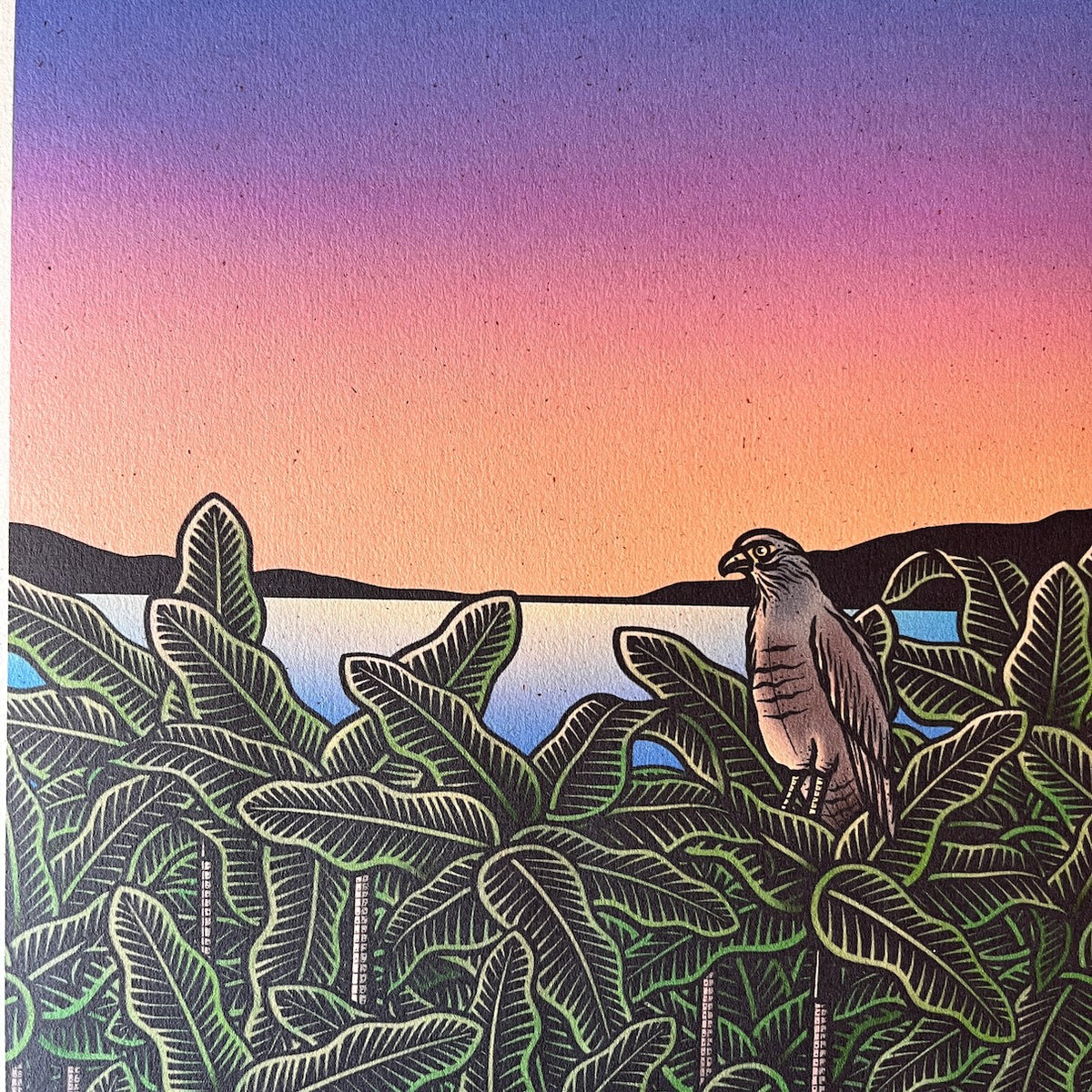 A-159【SUNSET ON THE ISLAND】島の夕暮れ アート