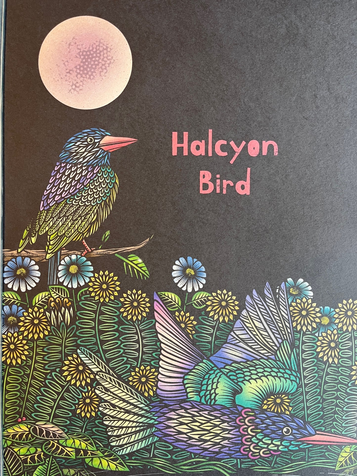HALCYON BIRD