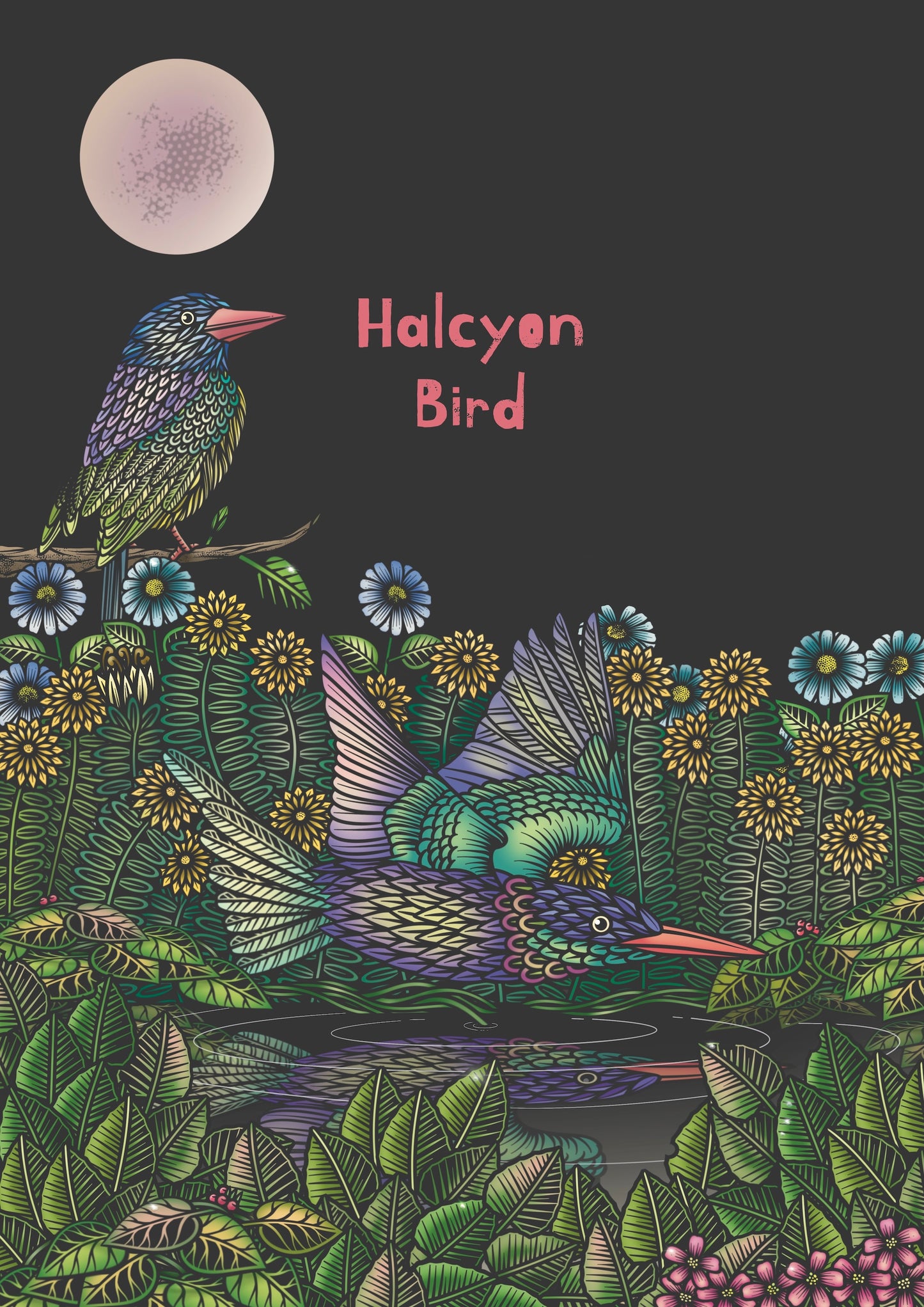 HALCYON BIRD