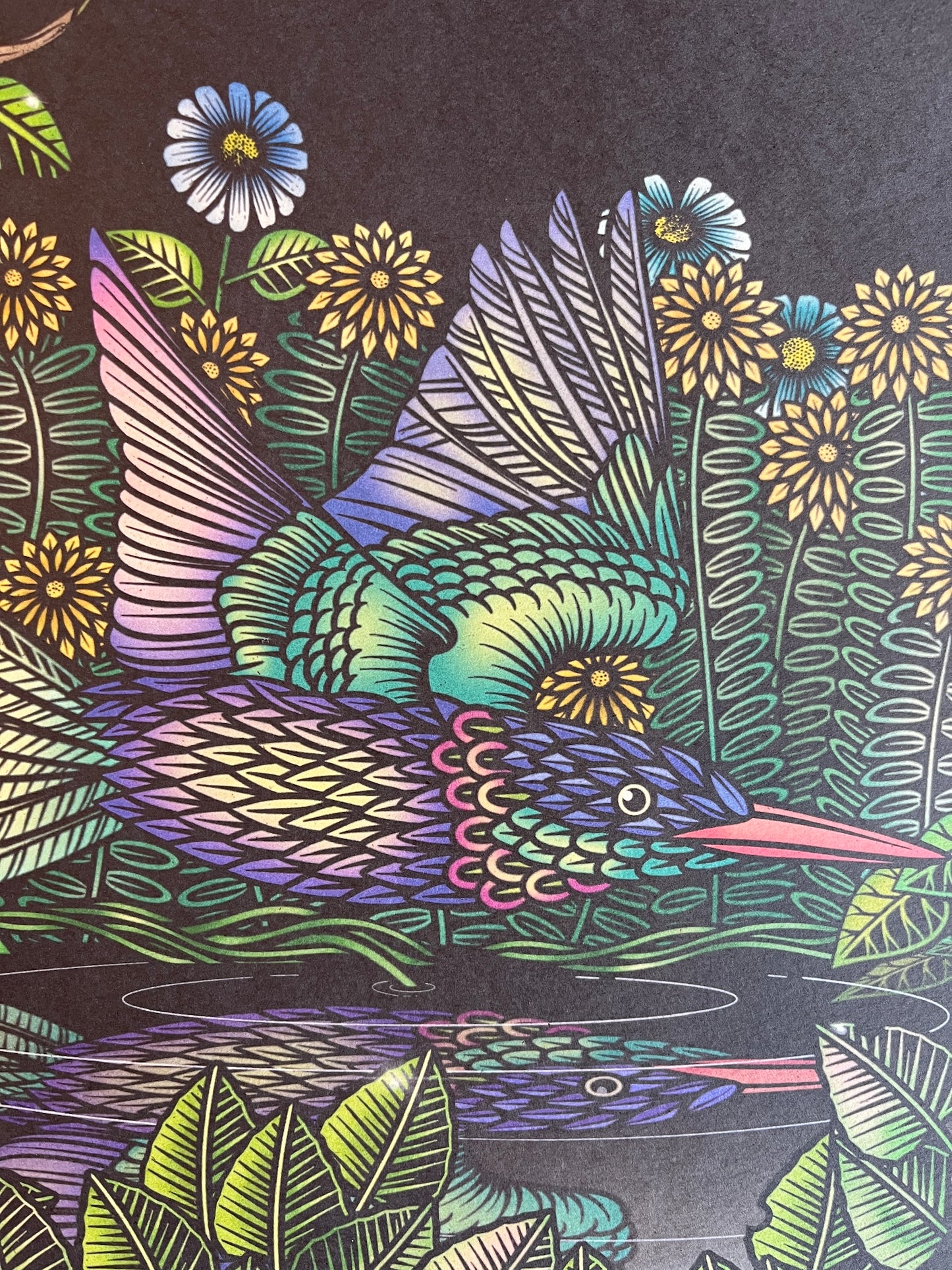 HALCYON BIRD