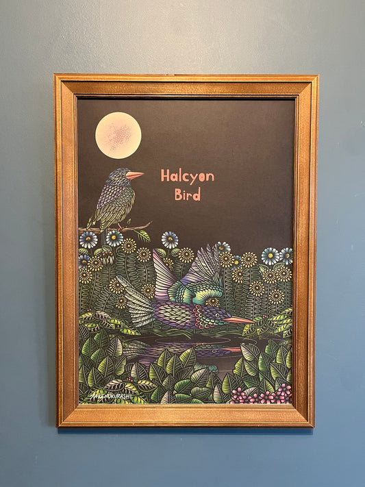 HALCYON BIRD